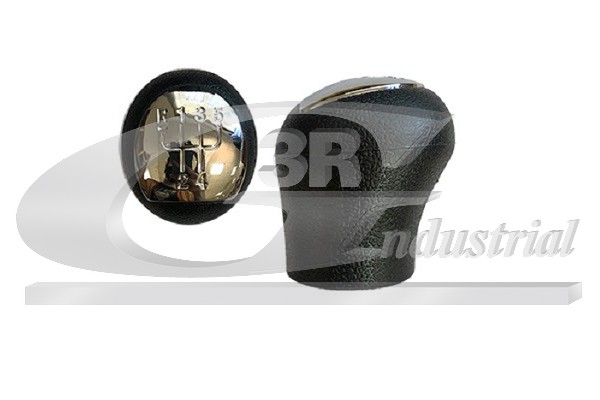 Gear Knob - 25609 3RG