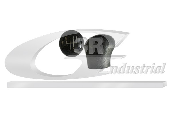 Gear Knob - 25610 3RG