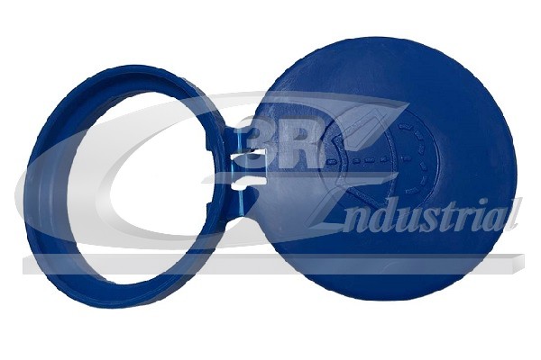Sealing Cap, washer fluid tank - 29201 3RG