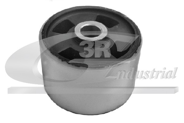 Sospensione, Motore - 40623 3RG