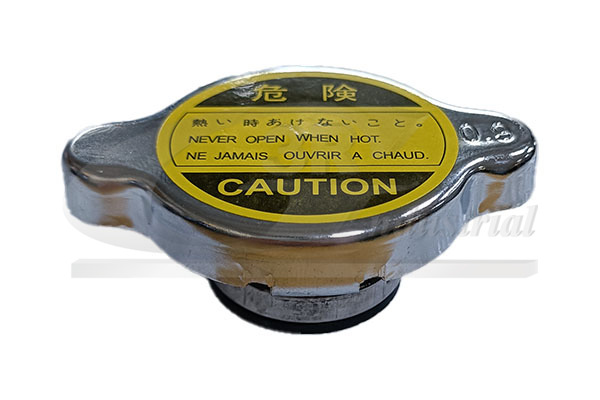 Sealing Cap, radiator - 65601 3RG