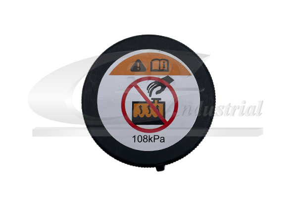 Sealing Cap, coolant tank - 65806 3RG