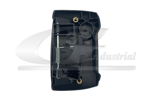 Door Handle - 69621 3RG