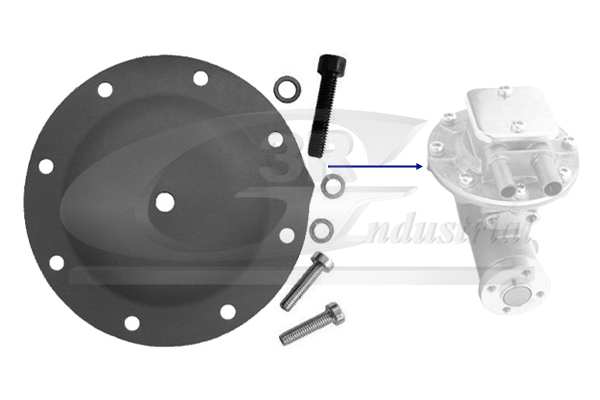 Membrane, vacuum pump - 80002 3RG