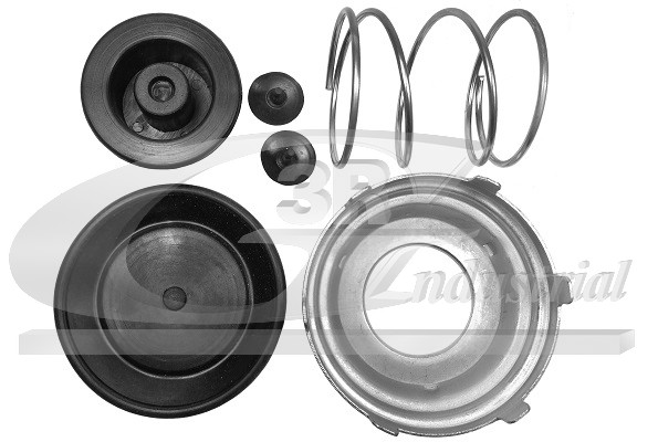 Repair Kit, fuel pump - 80033 3RG