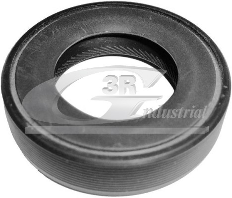 Shaft Seal, differential - 80209 3RG