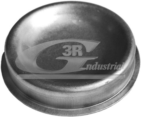 Cap, wheel bearing - 80226 3RG