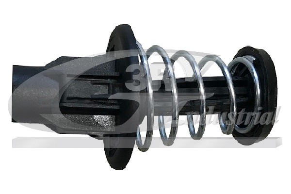 dujinė spyruoklė, gaubtas - 80583 3RG