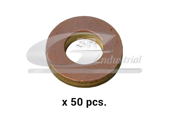 Seal Ring, injector - 81637 3RG
