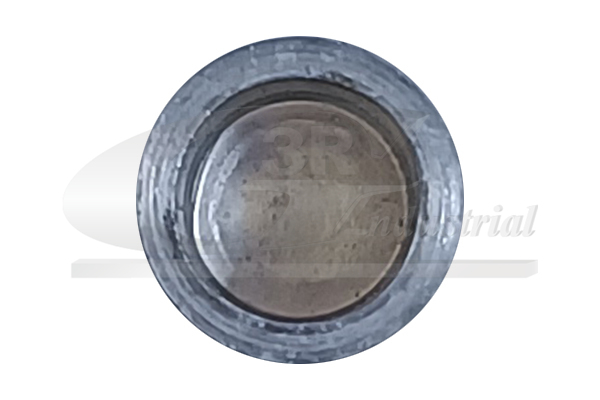 Frost Plug - 84000 3RG