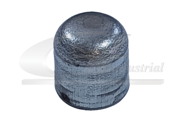 Frost Plug - 84000 3RG