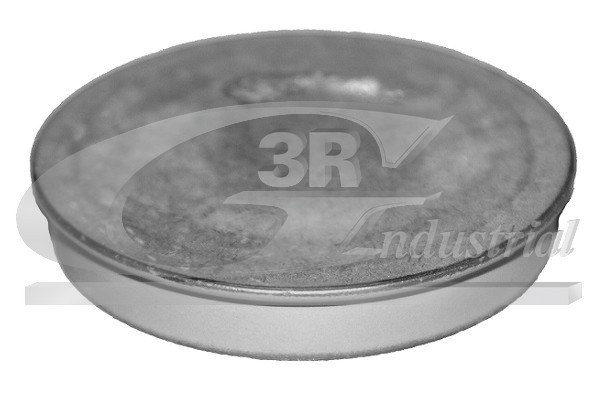 Protection Lid, wheel hub - 84702 3RG