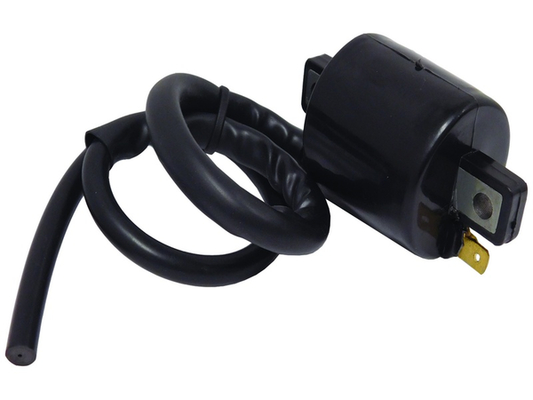 Ignition Coil - CPS27 WAI