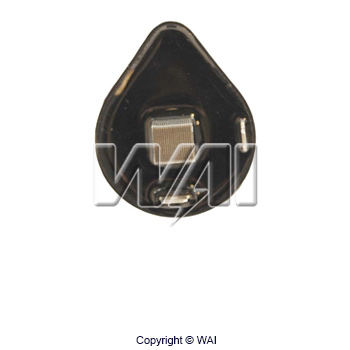 Ignition Coil - CPS28 WAI