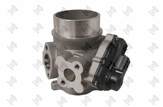 EGR Valve - 121-01-110 ABAKUS