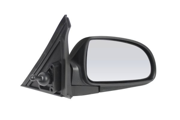 Outside Mirror - 1502M01 ABAKUS