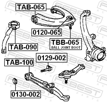 Camber Correction Screw - 0129-002 FEBEST