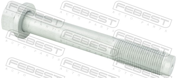 Fastening Bolts, control arm - 0198-009 FEBEST