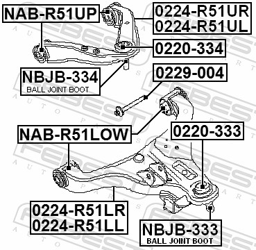 Camber Correction Screw - 0229-004 FEBEST