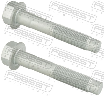 Fastening Bolts, control arm - 0298-003-PCS2 FEBEST
