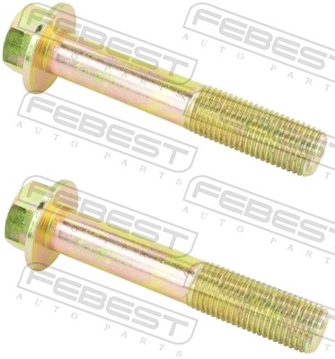 Fastening Bolts, control arm - 0298-008-PCS2 FEBEST