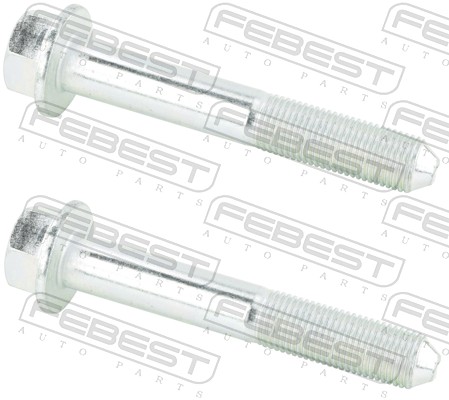 Perno fissaggio, Braccio oscillante - 0498-002-PCS2 FEBEST