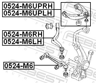 Braccio oscillante, Sospensione ruota - 0524-M6RH FEBEST