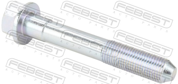 Fastening Bolts, control arm - 0598-001 FEBEST