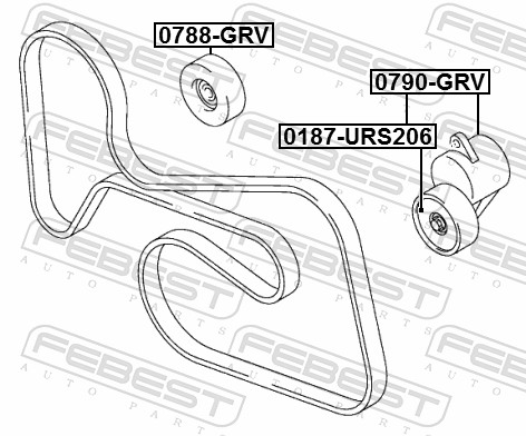 Tendicinghia, Cinghia Poly-V - 0790-GRV FEBEST