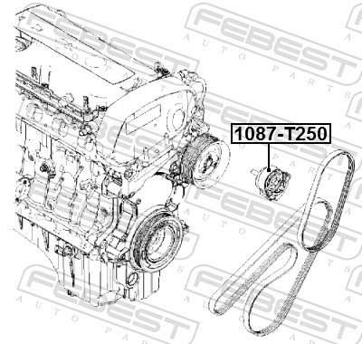 Tensioner Pulley, V-ribbed belt - 1087-T250 FEBEST