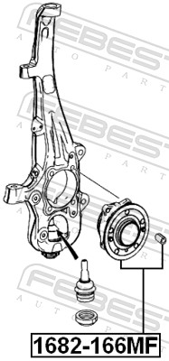 Wheel Hub - 1682-166MF FEBEST