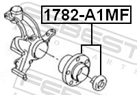 Wheel Hub - 1782-A1MF FEBEST