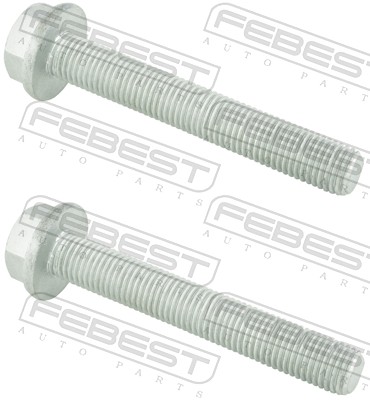 Fastening Bolts, control arm - 2098-001-PCS2 FEBEST