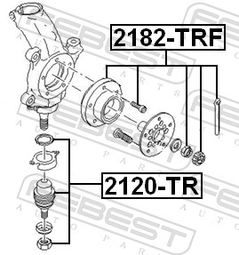 Шарнир независимой подвески / поворотного рычага - 2120-TR FEBEST