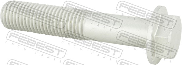 Fastening Bolts, control arm - 2198-004 FEBEST