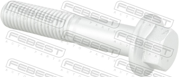 Fastening Bolts, control arm - 2198-011 FEBEST