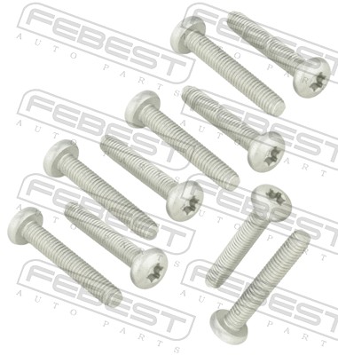 Fastening Bolts, control arm - 2398-002-PCS10 FEBEST