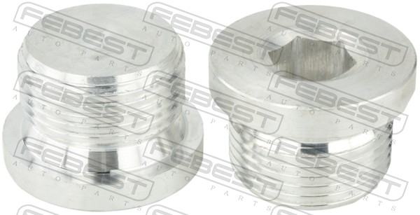 Vite di chiusura, vaschetta dell'olio - 2399-002-PCS2 FEBEST