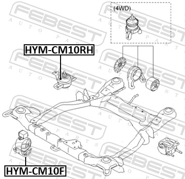 Sospensione, Motore - HYM-CM10F FEBEST