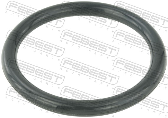 Seal, throttle body - RINGAH-009 FEBEST