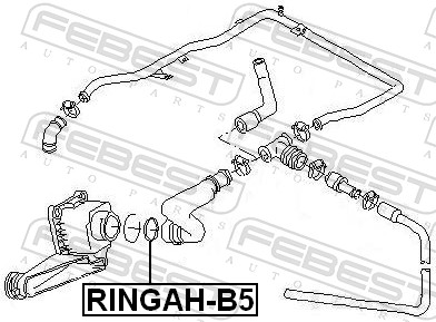Gasket, EGR valve pipe - RINGAH-B5 FEBEST