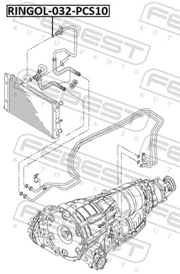 Anello tenuta, Radiatore olio - RINGOL-032-PCS10 FEBEST