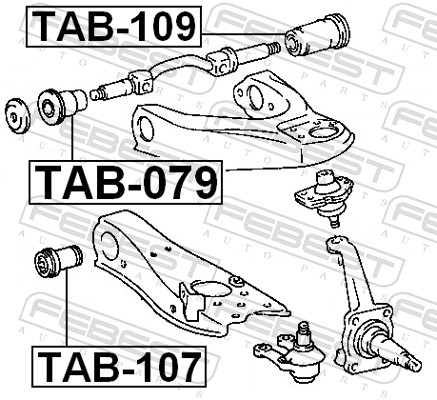 Control Arm-/Trailing Arm Bush - TAB-079 FEBEST