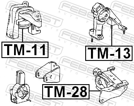Sospensione, Motore - TM-13 FEBEST