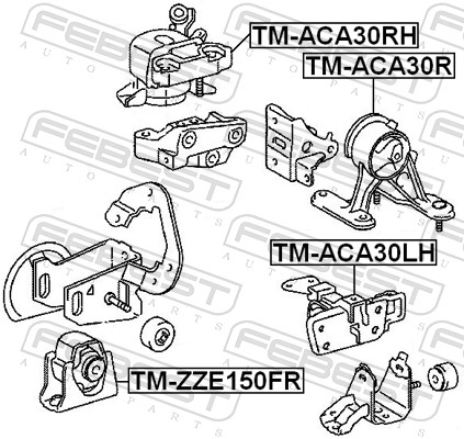Sospensione, Motore - TM-ACA30RH FEBEST