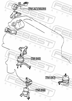 Engine Mounting - TM-ACV30LRH FEBEST