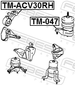 Engine Mounting - TM-ACV30RH FEBEST