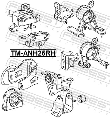 Engine Mounting - TM-ANH25RH FEBEST
