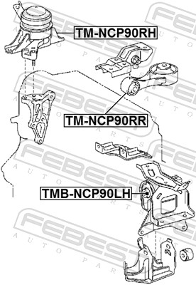 Engine Mounting - TM-NCP90RR FEBEST