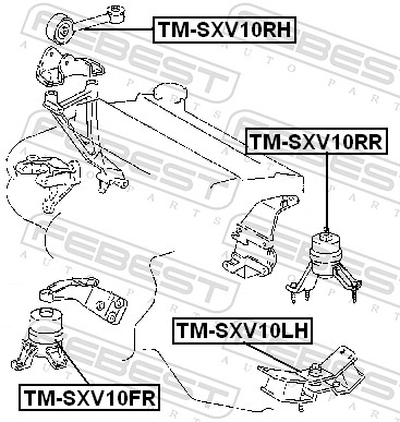 Engine Mounting - TM-SXV10RH FEBEST